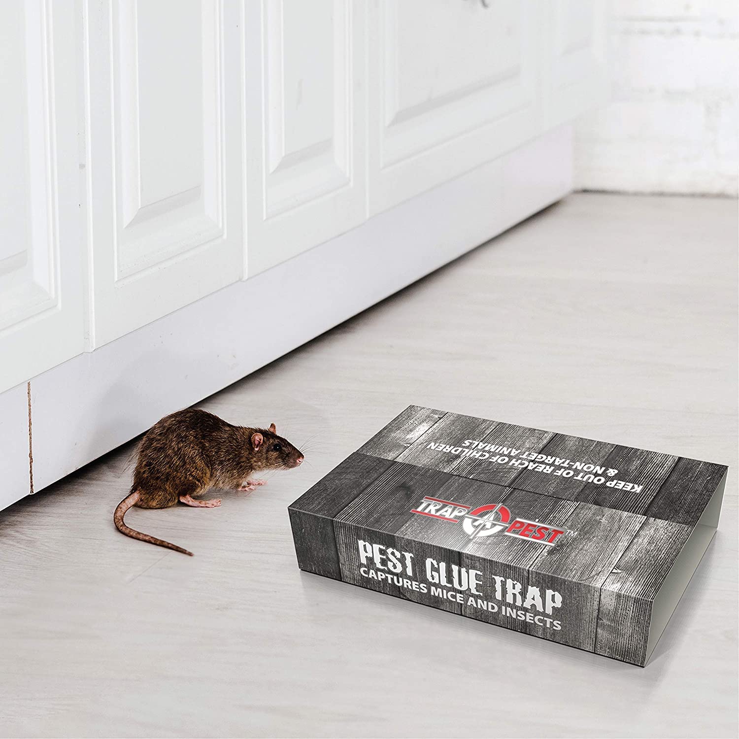 Mouse & Insect Glue Trap, Mouse Traps Indoor For Home, Sticky Pest