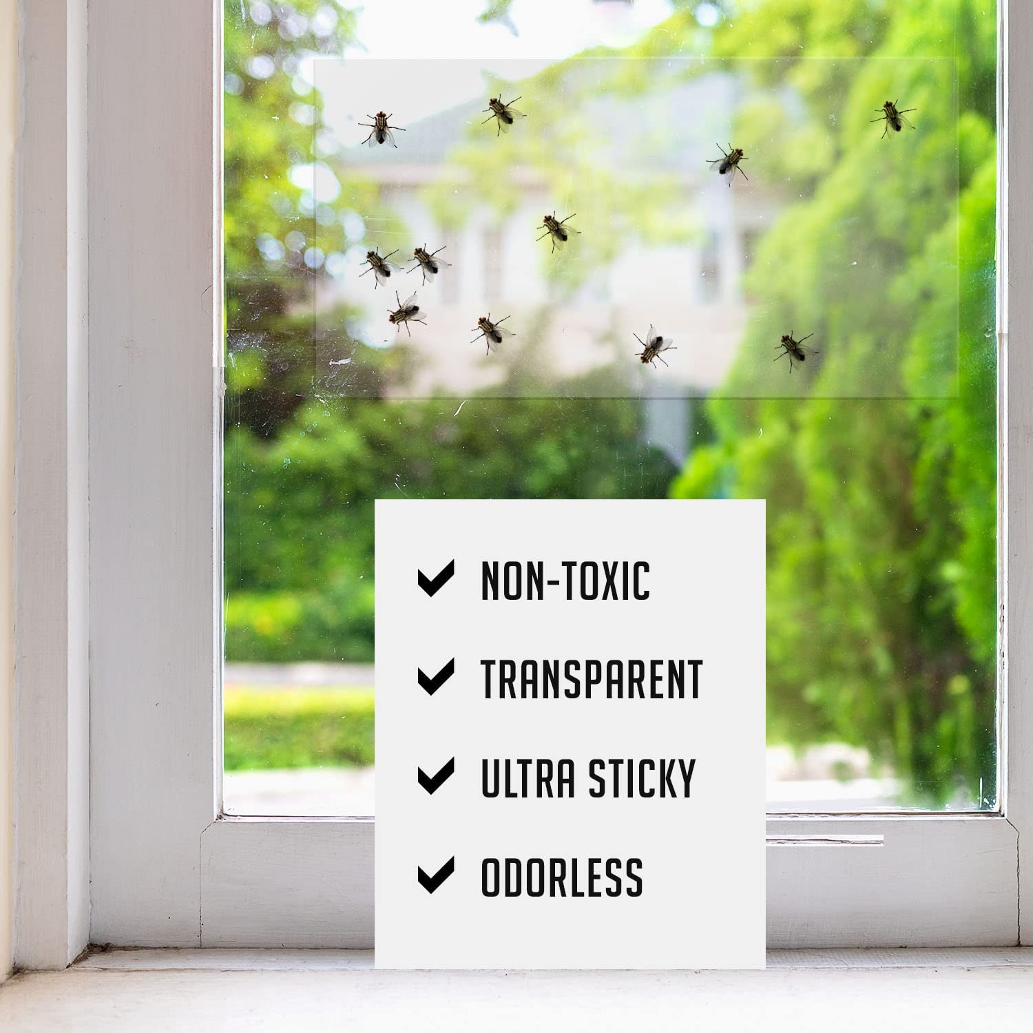 30 Pack Window Fly Traps Transparent Sticky Fly Trap Clear Fly