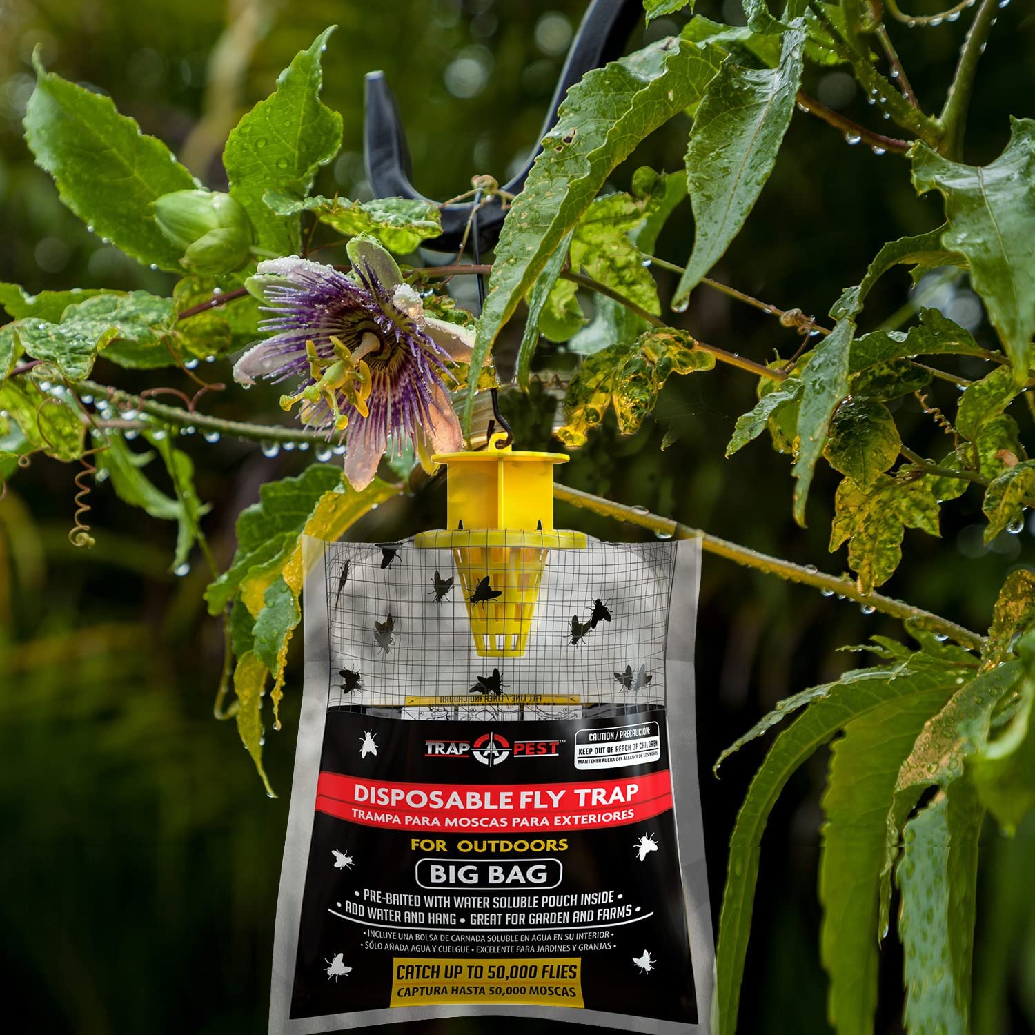 Shop RESCUE! Indoor and Outdoor Fly Traps and Refill at